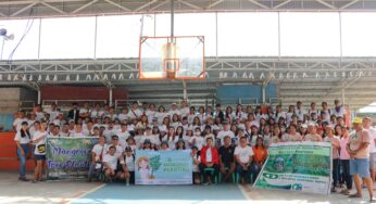 Mangrove Tree Planting